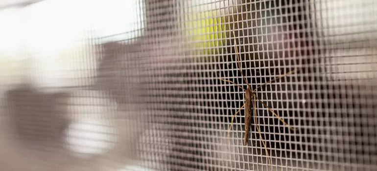 Repair Mosquito Mesh For Windows in Hialeah Gardens, FL